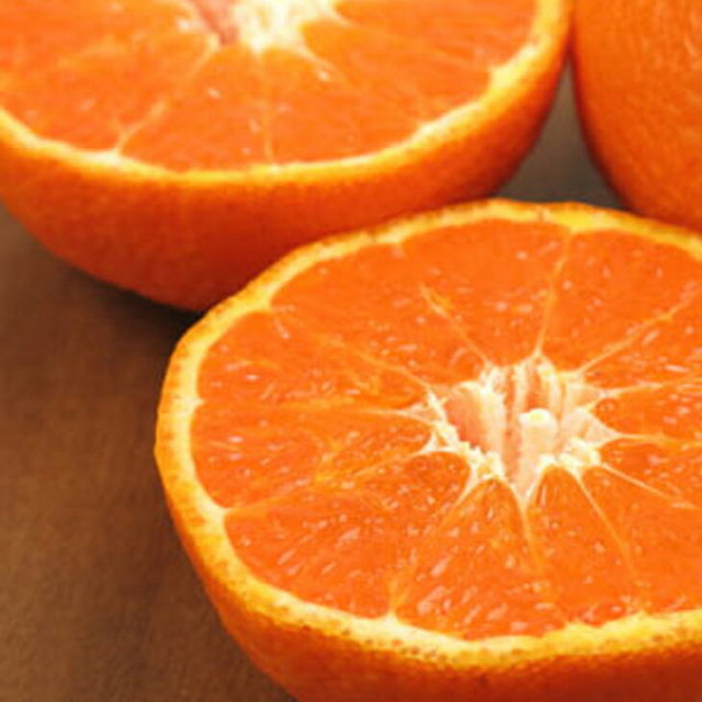 みかん 苗木 【津之輝 （つのかがやき） ［登録品種］】 2年生 接ぎ木大苗