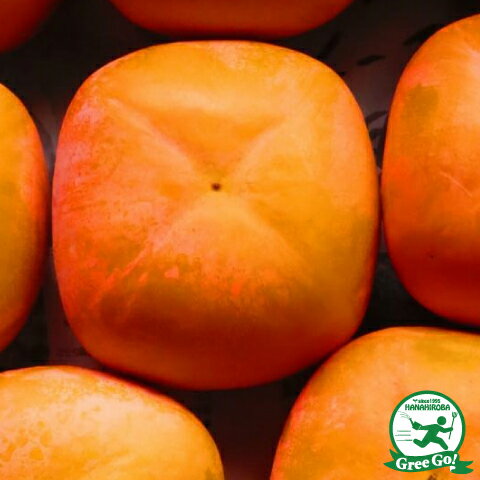 渋柿 平核無ひらたねなし