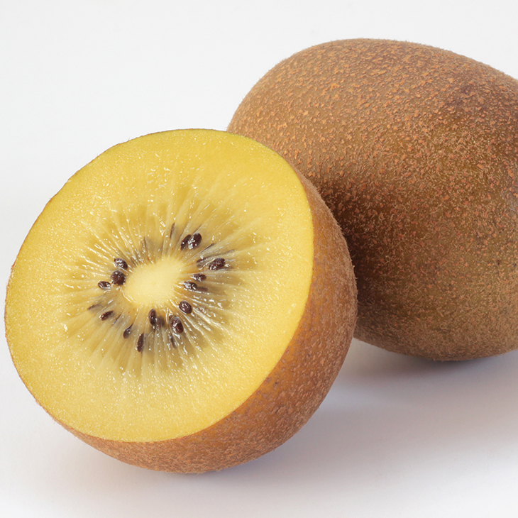 ■優良2年生大苗■ キウイ 苗木 【メス イエロークイーン】 2年生大苗 接ぎ木