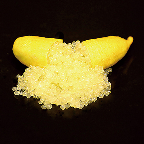 サンシャインイエロー