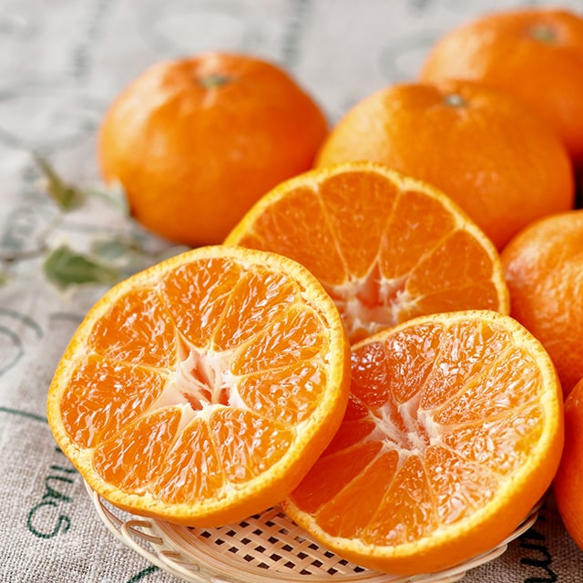 ■優良2年生大苗■ みかん 苗木 【あすき ［登録品種］】 2年生大苗 接ぎ木