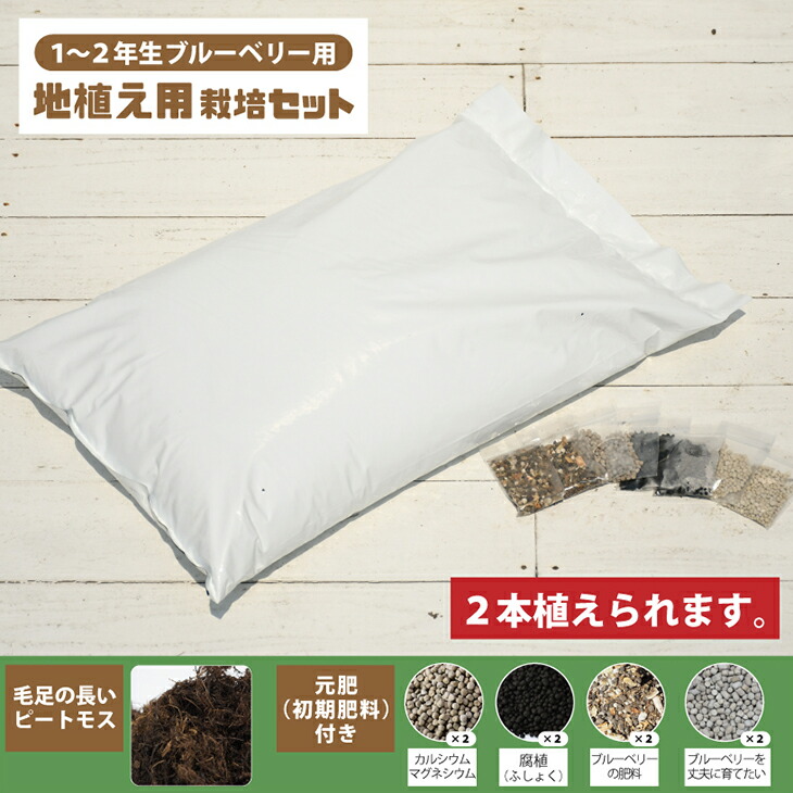 植え付け 簡単 栽培セット 【地植え用（1～2年生ブルーベリー用 ※苗木2本分）】 栽培セット （ピートモス・元肥・肥料付き）