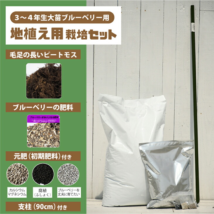 植え付け 簡単 栽培セット 【地植え用（ブルーベリー3～4年生大苗用）】 栽培セット （ピートモス・元肥・肥料・支柱付き）