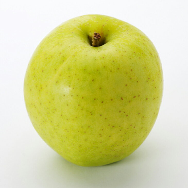 りんご 苗木 【YD（矮性台木） 王林 （おうりん）】 3年生 接ぎ木 約