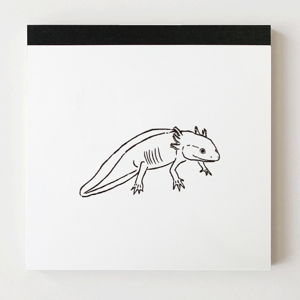 Animal Series メモパッド・スクエア<ウーパールーパー>