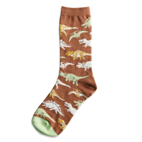 garapago socks　靴下<古生物学>ST-089