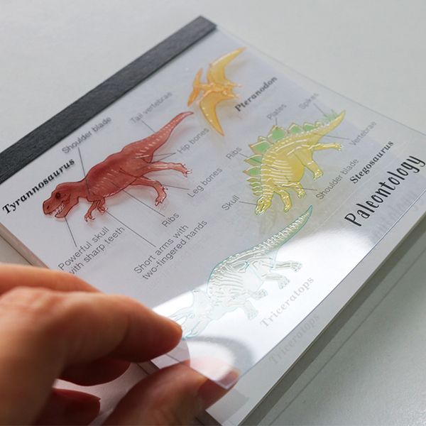 STUDY HOLIC メモパッド・スクエア<古生物学>ST-002【大人文具