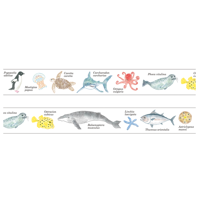 ★本日限定価格★【墨魚さんセット】海外マステ 人物マステ15巻 新品 まとめ売り マスキングテープ4個パック（なかま/A）S8543909 - MOOMIN SHOP