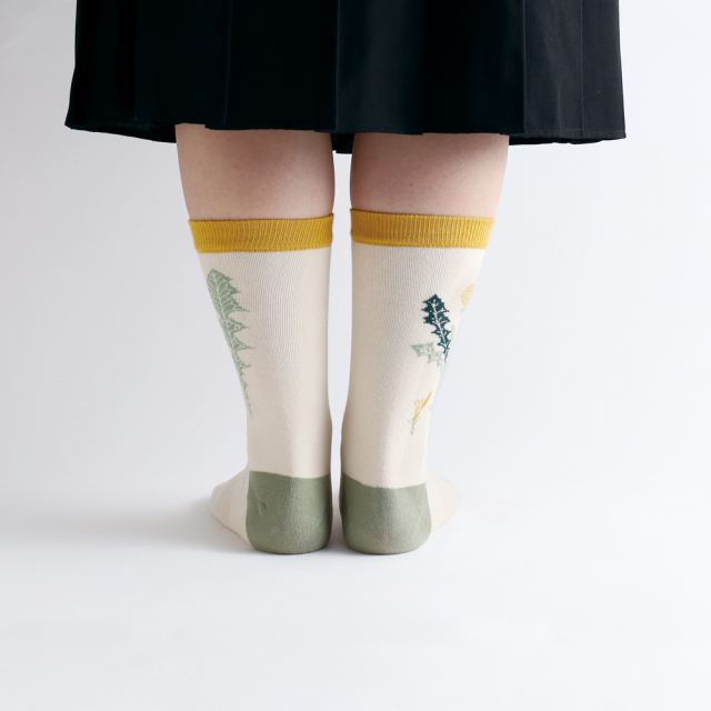 garapago socks 靴下<植物学> ST-221【大人文具】 | デザイン