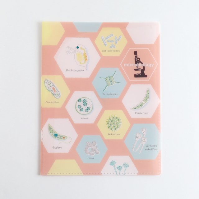 STUDY HOLIC A4クリアブックファイル<微生物学> ST-246 | デザイン