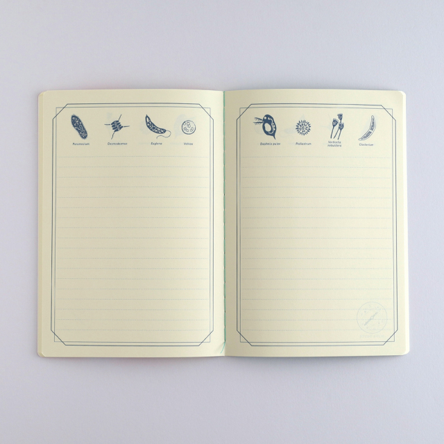 STUDY HOLIC A5ノート（微生物学）ST-327 | デザインステーショナリー