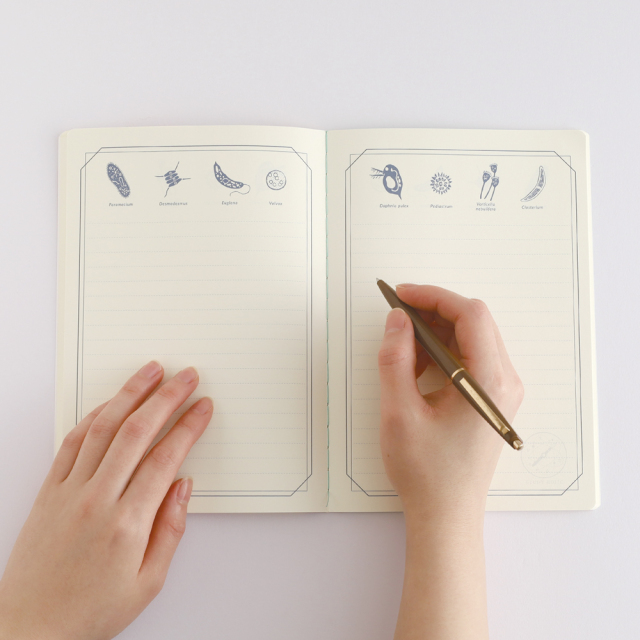 STUDY HOLIC A5ノート（微生物学）ST-327 | デザインステーショナリー