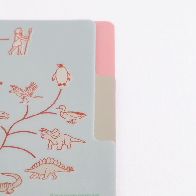 STUDY HOLIC A5ポケットクリアファイル（進化生物学）ST-343