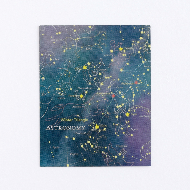 STUDY HOLIC オーロラステッカー（天文学/オリオン）ST-349 | デザイン