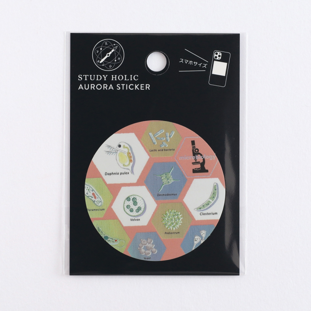 STUDY HOLIC オーロラステッカー（微生物学）ST-355