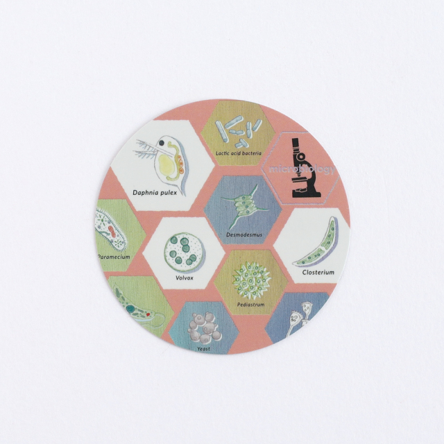 School Days 20周年記念　オーロラアクリルコースター　言葉・世界 SchoolDays 20周年記念 オーロラアクリルコースター 清浦刹那 桂