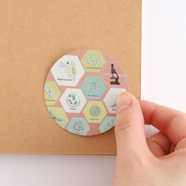STUDY HOLIC オーロラステッカー（微生物学）ST-355 | デザイン