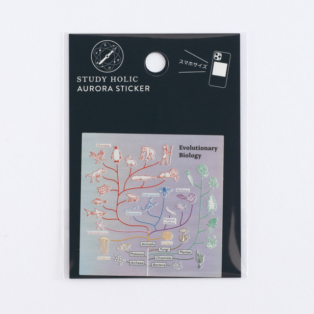 STUDY HOLIC オーロラステッカー（進化生物学）ST-361 | デザイン
