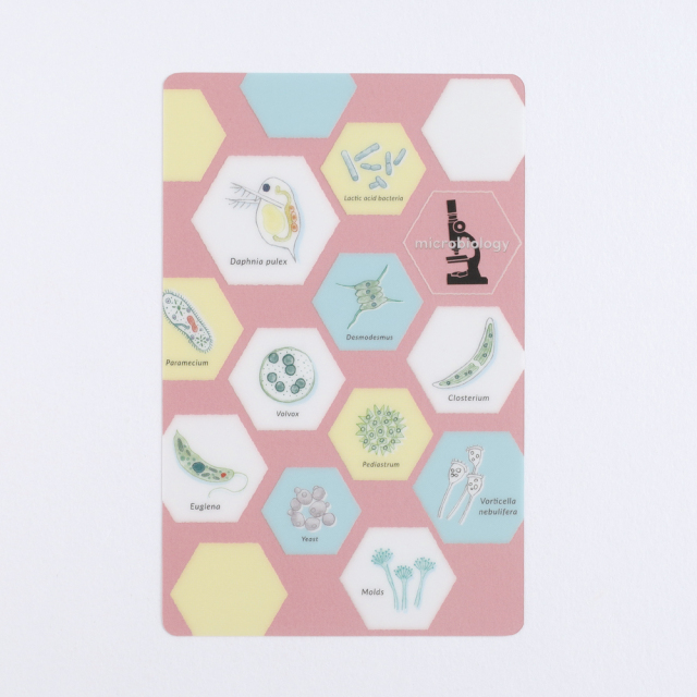 STUDY HOLIC クリアブックマーク（微生物学）ST-370 | デザイン