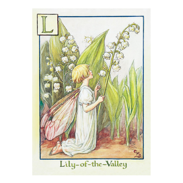 原画の魅力をそのままに Flower Fairies ポストカード The Willow Fairy フラワーフェアリーズ シシリー メアリー バーカー 花 妖精 デザインステーショナリーのgreenflash グリーンフラッシュ