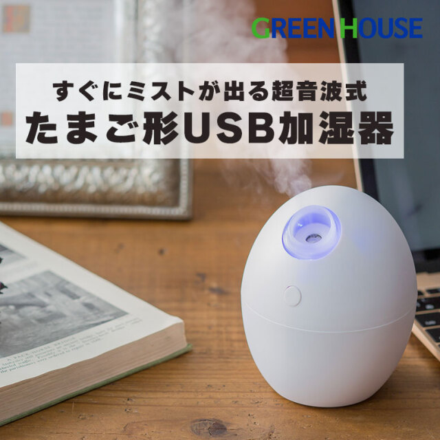 USBたまご形加湿器 超音波式 USB接続 卓上 アロマウォーター オフィス デスク 寝室 GH-UMSEM-WH