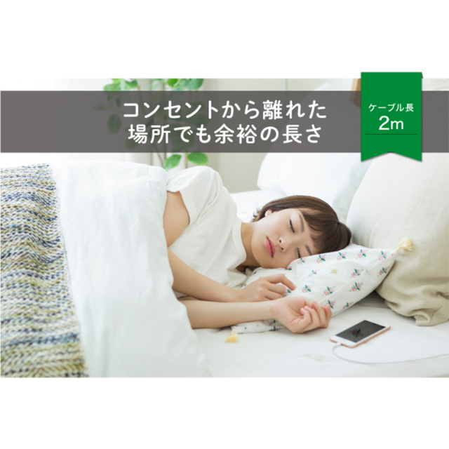 ライトニングケーブル 2m USB Type-A Lightning 充電 データ転送