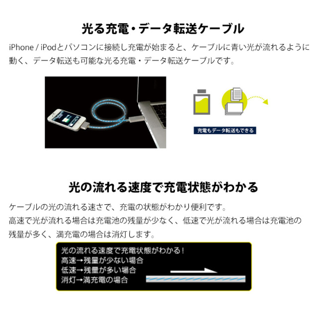 Dockコネクタケーブル iPhone iPod 充電 データ転送 iPad iPod touch