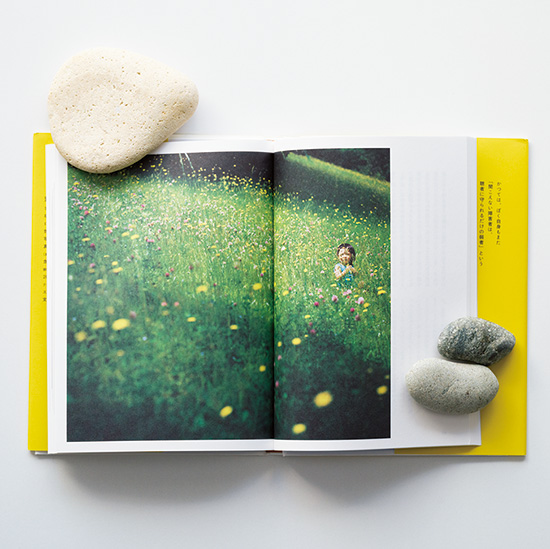 よっちぼっち　家族四人の四つの人生