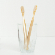 歯周ケア　ハブラシ