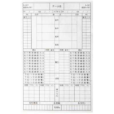 フィンタ レフリー記録用紙（30枚入り） FT5988