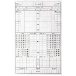 フィンタ レフリー記録用紙（30枚入り） FT5988