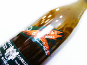 カミッロ ドナーティ カンパイ 2024 750ml