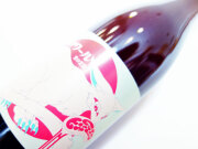 レ ヴァン ヴィヴァン ピノ ノワール 2022 750ml（※お一人様一本まで）（※送料無料対象外）