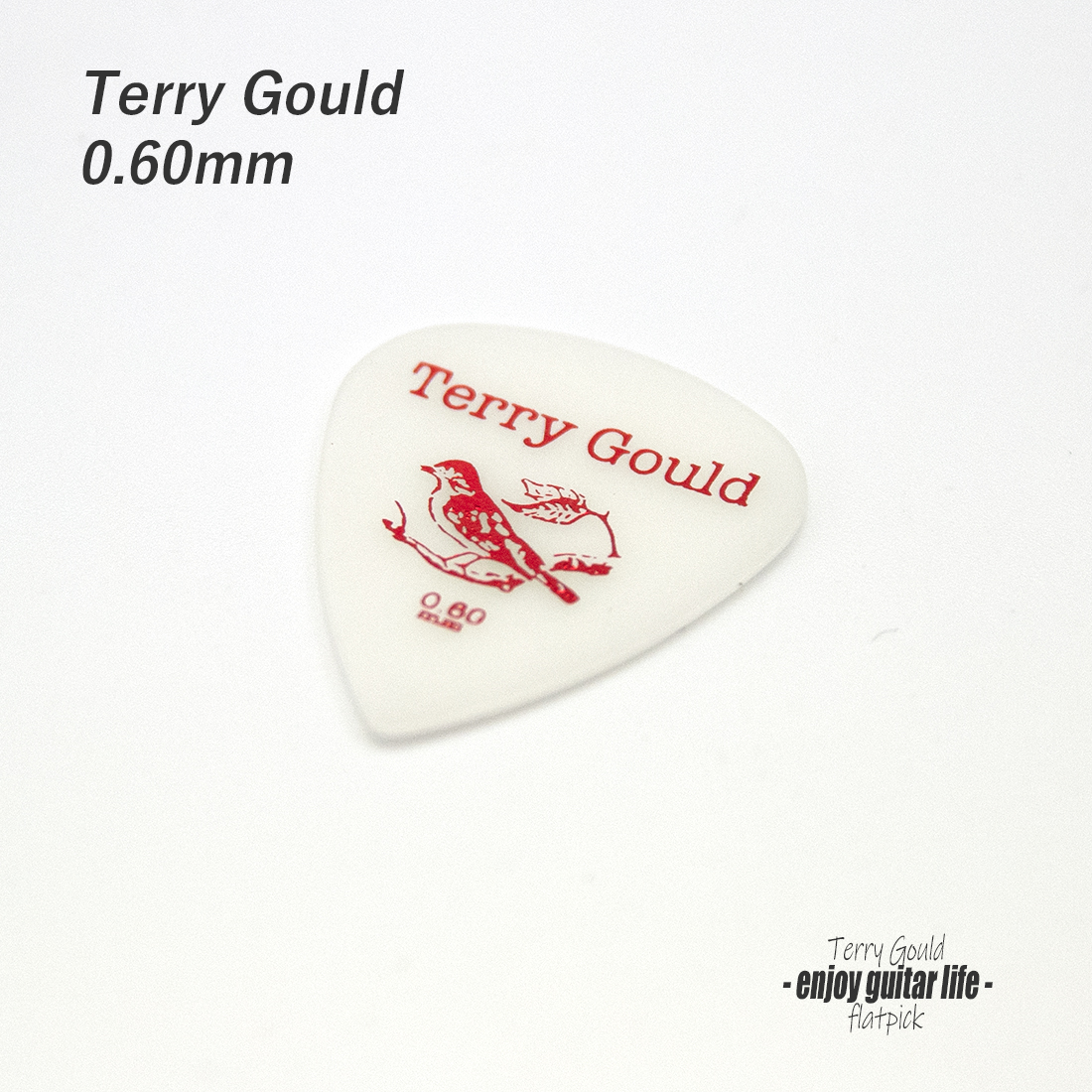 ★outlet 10個セット【フラットピック】Terry Gould GP-TG-T/06 ティアドロップ型 厚さ0.6mm ノイズレス ベーシック 演奏系 ＜★送料200円ポスト投函＞#0901