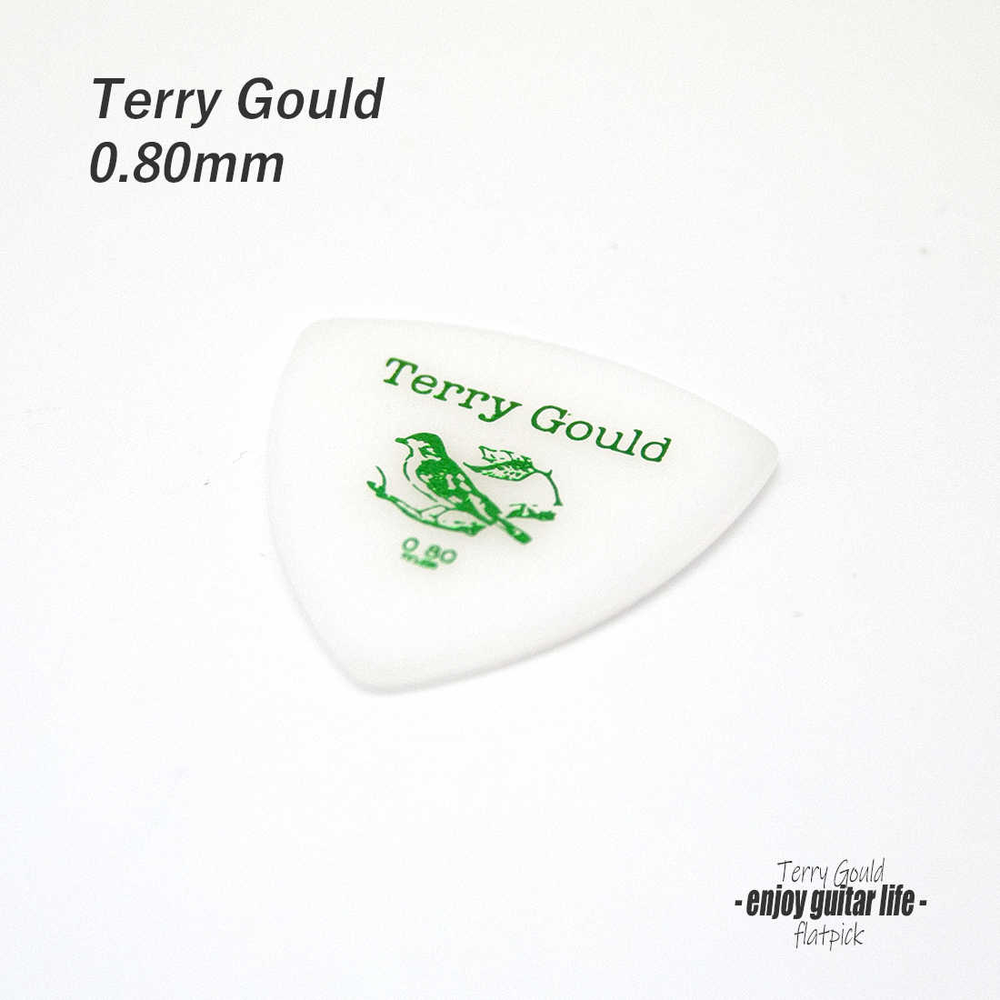 ★outlet 10個セット【フラットピック】Terry Gould GP-TG-R/08 三角型 厚さ0.8mm ノイズレス ベーシック 演奏系 ＜★送料200円ポスト投函＞#0904