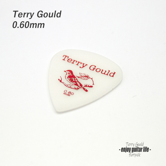 ★outlet 10個セット#0901【フラットピック】Terry Gould GP-TG-T/06 ティアドロップ型 厚さ0.6mm ノイズレス ベーシック 演奏系 ＜★送料200円ポスト投函＞