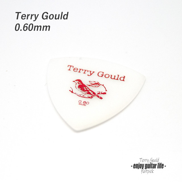★outlet 10個セット【フラットピック】Terry Gould GP-TG-R/06 三角型 厚さ0.6mm ノイズレス ベーシック 演奏系 ＜★送料200円ポスト投函＞#0902
