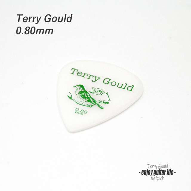 ★outlet 10個セット【フラットピック】Terry Gould GP-TG-T/08 ティアドロップ型 厚さ0.8mm ノイズレス ベーシック 演奏系 ＜★送料200円ポスト投函＞#0903