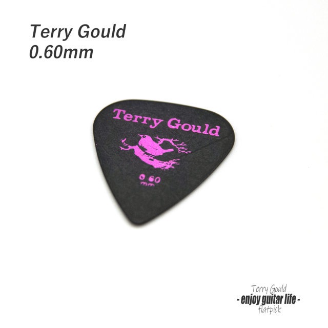 ★outlet 10個セット【フラットピック】Terry Gould GP-TG-TB/06 ティアドロップ型 厚さ0.6mm ノイズレス ベーシック 演奏系 ＜★送料200円ポスト投函＞ #0905