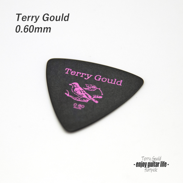 ★outlet 10個セット【フラットピック】Terry Gould GP-TG-RB/06 三角型 厚さ0.6mm ノイズレス 滑らかサウンド 練習用 ソフト感触 演奏系 ＜★送料200円ポスト投函＞ #0906