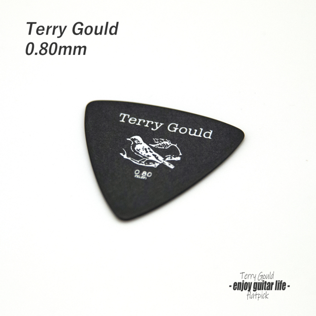 ★outlet 10個セット #0908【フラットピック】Terry Gould GP-TG-RB/08 三角型 厚さ0.8mm ノイズレス 滑らかサウンド 練習用 ソフト感触 演奏系 ＜★送料200円ポスト投函＞