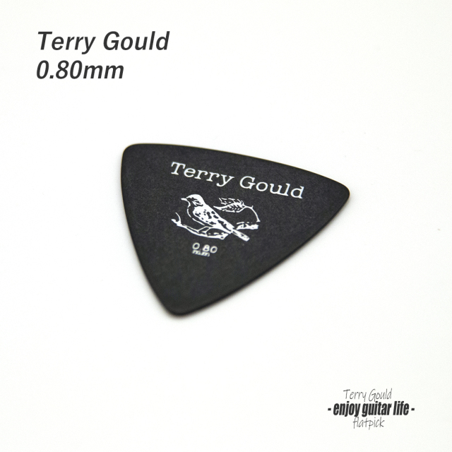 ★outlet 10個セット【フラットピック】Terry Gould GP-TG-RB/08 三角型 厚さ0.8mm ノイズレス 滑らかサウンド 練習用 ソフト感触 演奏系 ＜★送料200円ポスト投函＞ #0908
