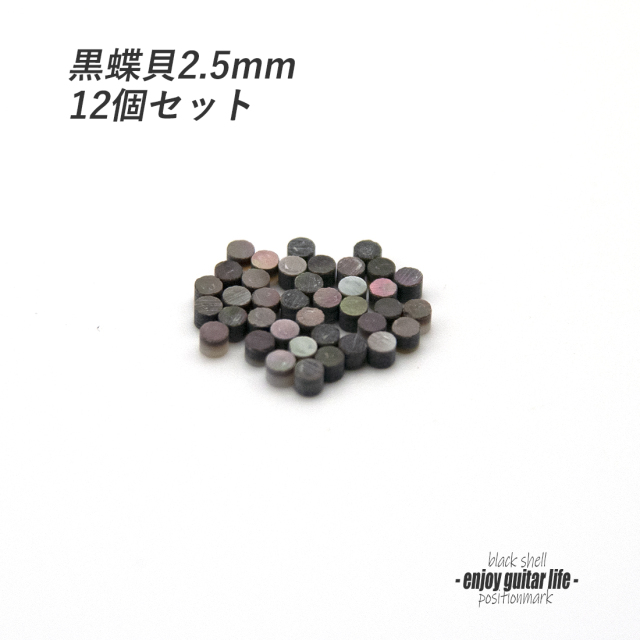 【ポジションマーク】サイドポジション 黒蝶貝 2.5ｍｍ丸 12個セット 厚さ2mm 装飾用 アクセント クラフト オリジナル リペア製作系 メンテナンス ＜送料200円ポスト投函＞#6867