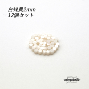 【ポジションマーク】白蝶貝 丸2mm 12個セット 厚さ2mm 装飾系  外観整備 アクセント クラフト リペア製作系 メンテナンス 修理補修 ビルド ＜送料200円ポスト投函＞#6801
