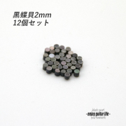 【ポジションマーク】黒蝶貝 丸2mm 12個セット 厚さ2mm 装飾系  外観整備 アクセント クラフト リペア製作系 メンテナンス 修理補修 ビルド ＜送料200円ポスト投函＞#6832