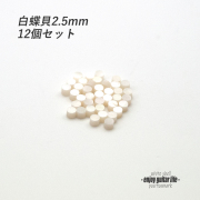 【ポジションマーク】サイドポジション 白蝶貝 2.5ｍｍ丸 12個セット 厚さ2mm 装飾用  外観整備 アクセント クラフト オリジナル リペア製作系 メンテナンス 修理補修 ビルド  ＜送料200円ポスト投函＞#6866