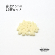 【ポジションマーク】サイドポジション 蓄光 2.5ｍｍ丸 12個セット 厚さ2mm 装飾用  外観整備 アクセント クラフト オリジナル リペア製作系 メンテナンス 修理補修 ビルド ＜送料200円ポスト投函＞#6869