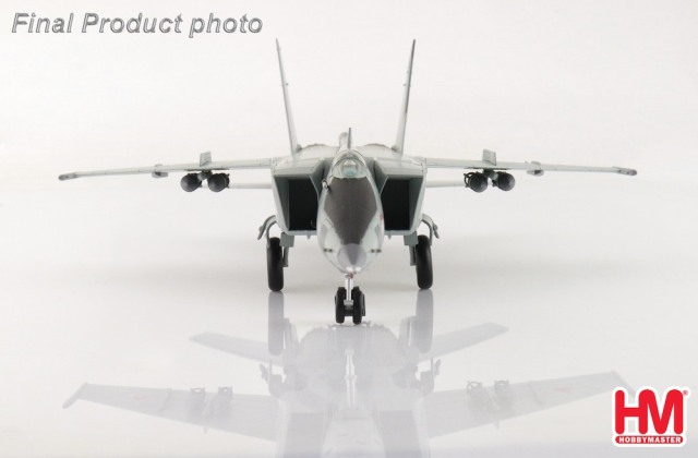 HOBBY MASTER 1/72 (ダイキャスト製) MiG-25RBT フォックスバットBw