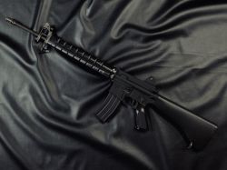 DNA T65（65式歩槍）GBBR
