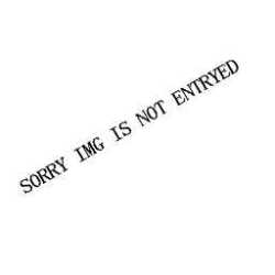 no-img